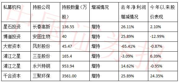 私募牛散最新排名揭晓，投资精英的荣耀与担当