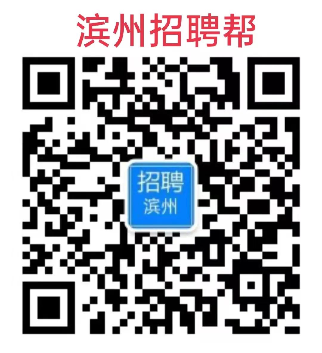 滨州市招聘网最新动态深度解析，求职招聘趋势及机会探讨