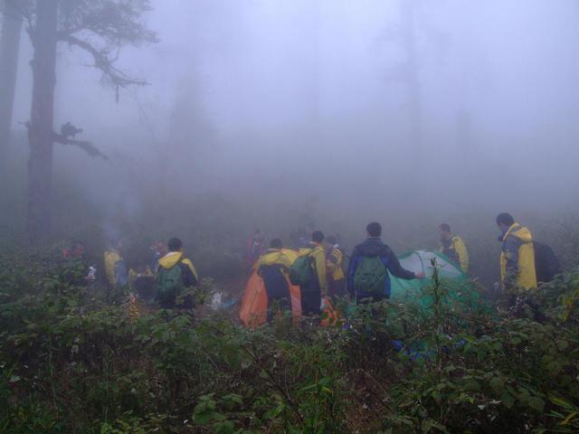 澳门最精准免费资料大全旅游团,确保解释问题_专家版36.309