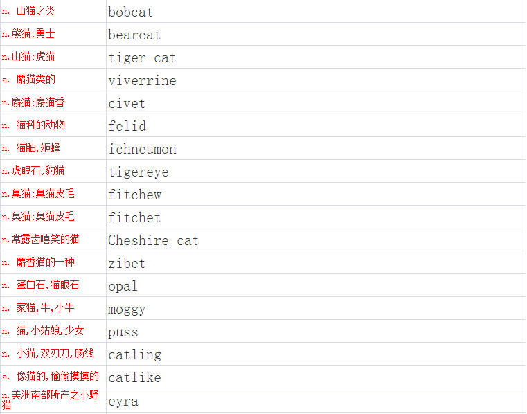 最新猫咪MV探索，揭秘永久地域网名潮流