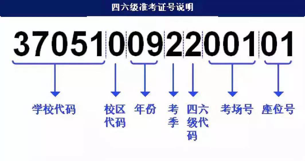 花火绽放 第4页