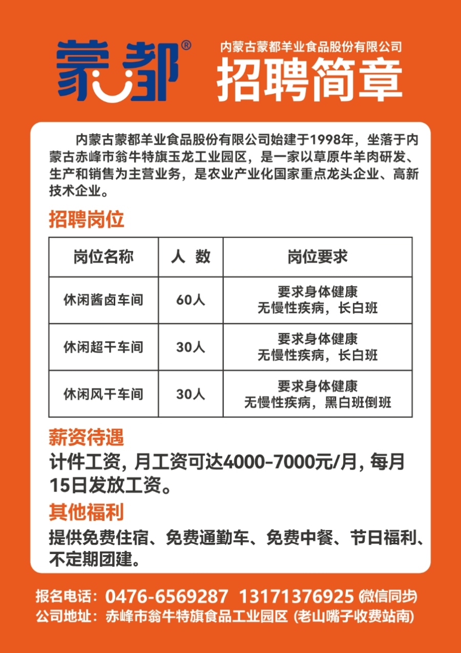 阳春市招聘网最新招聘动态深度解析及求职指南