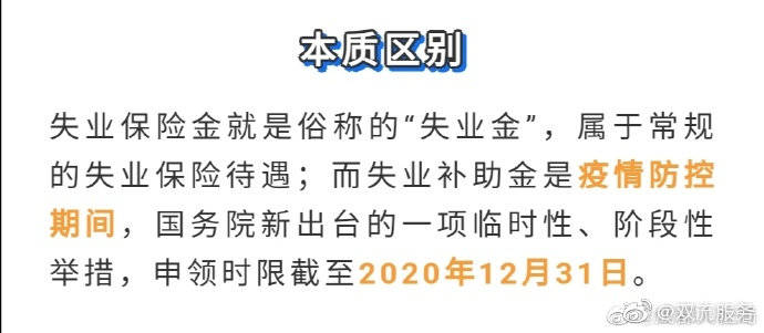 东莞失业保险金领取条件最新规定详解，申领资格、流程与要点解析