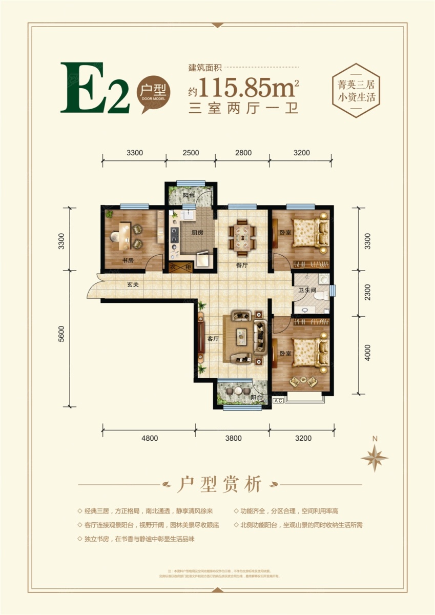 集通中朵城最新消息深度解读