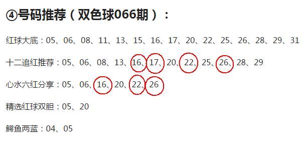 双色球最新结果开奖号,数据导向执行策略_VIP18.498