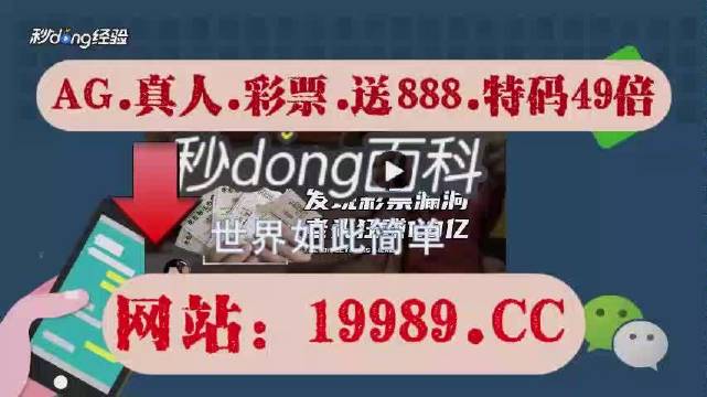 新澳门2024开奖结果,最新调查解析说明_V211.321