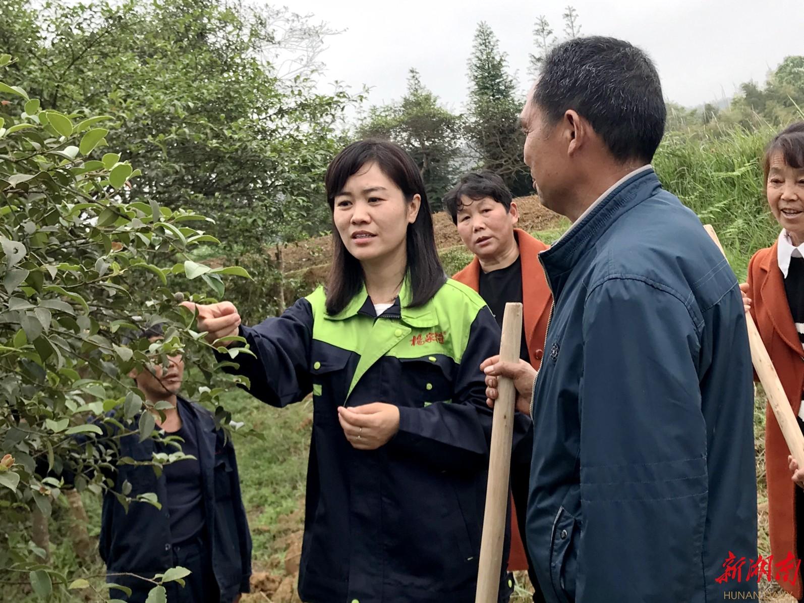 三门坡镇未来繁荣新蓝图，最新发展规划揭秘