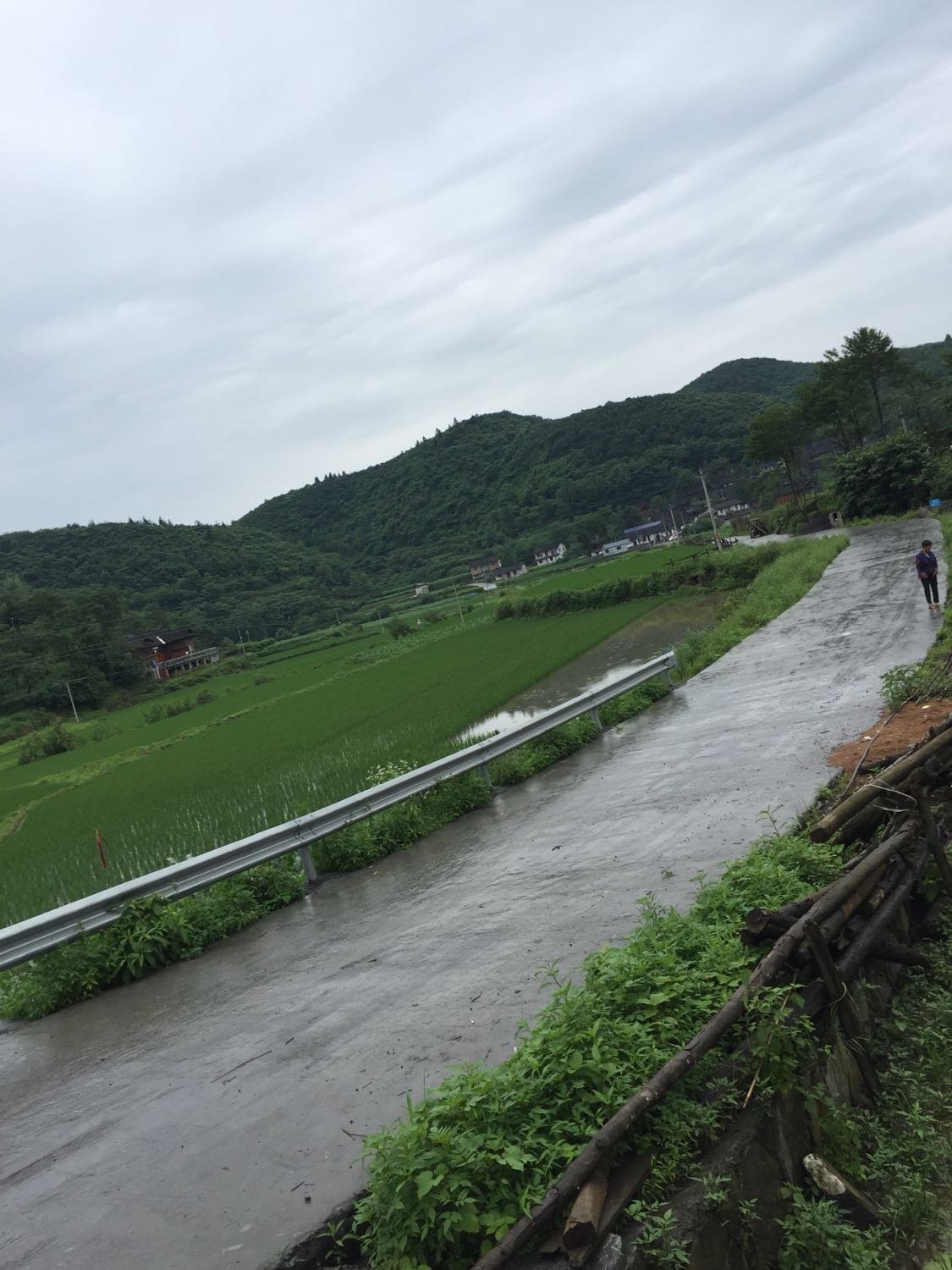 西园乡天气预报更新通知