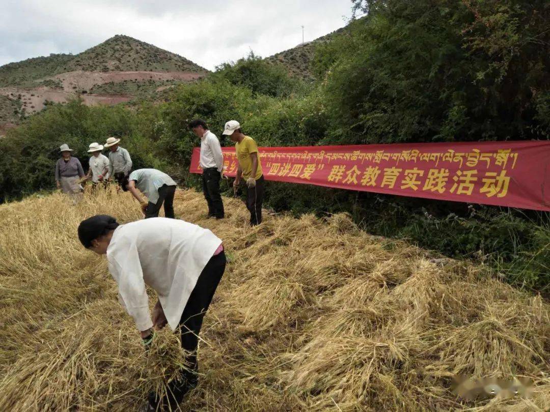 夏里乡新项目启动，引领乡村发展迈入崭新篇章