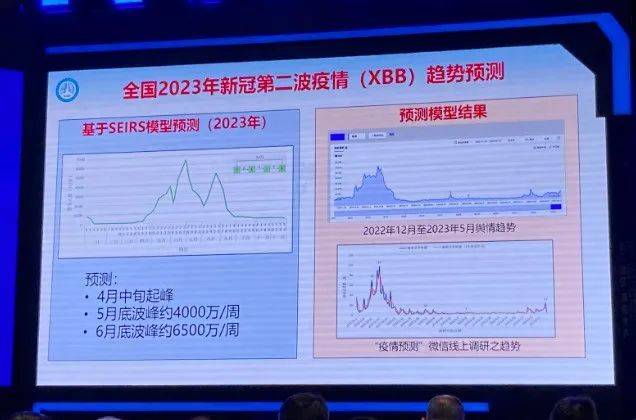 2024年11月新冠情况,系统化说明解析_升级版82.349