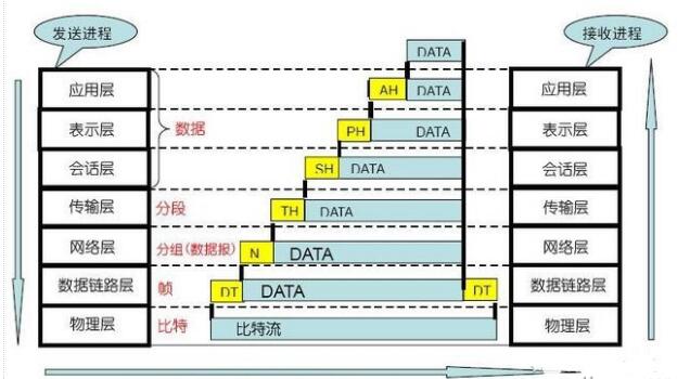 2024年12月5日 第46页