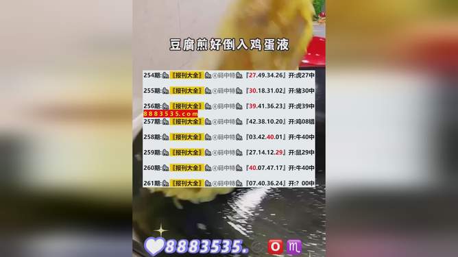 2024新澳开奖结果,快速执行方案解答_安卓款56.530