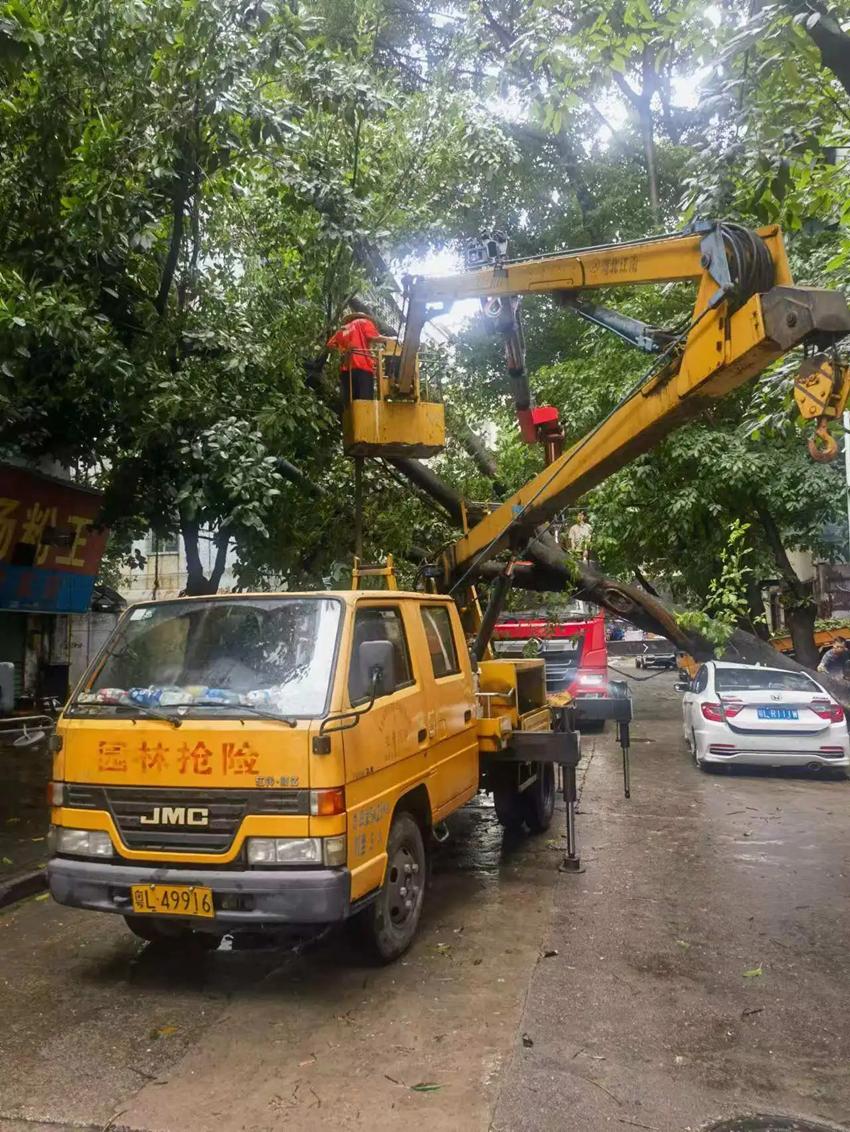 惠州市市政管理局最新动态，城市更新与管理开启新篇章