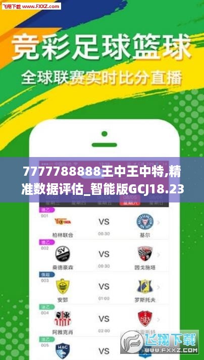 7777788888王中王中王特色功能,实地执行数据分析_豪华版72.274