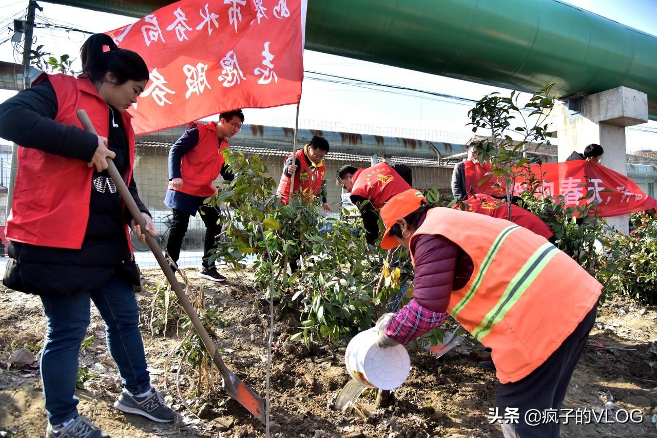 友爱社区共建未来家园，最新发展规划揭晓