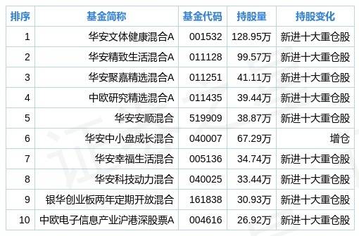 2024年黄大仙三肖三码,数据导向实施_微型版41.247