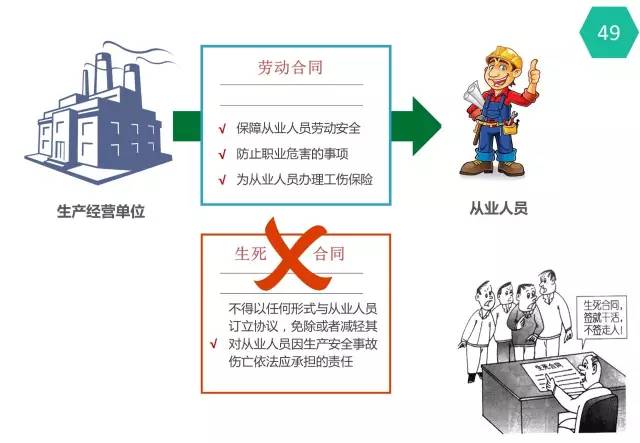 2024香港跑狗高清图片,迅速执行设计方案_5DM20.59