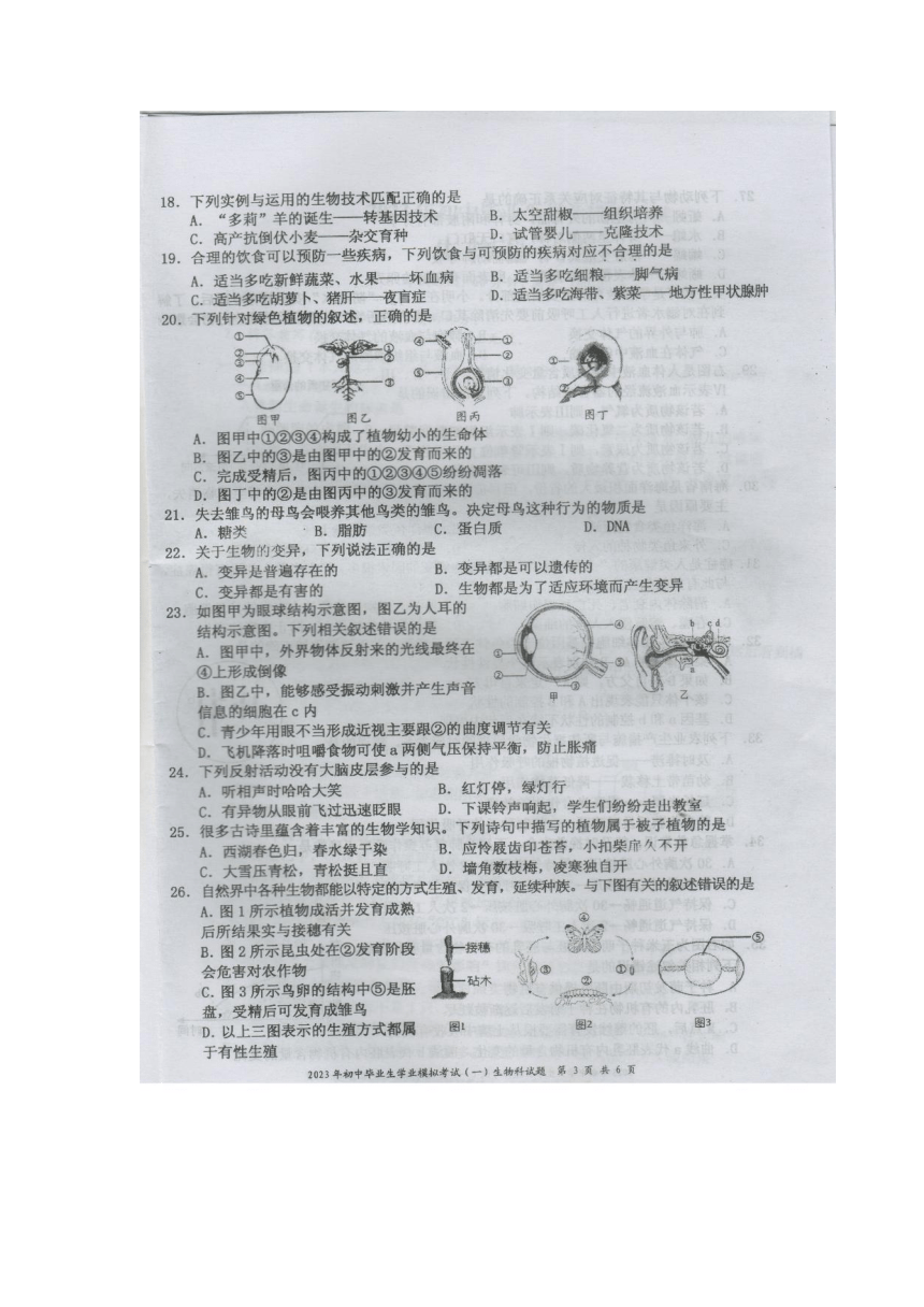 2024年12月12日 第2页