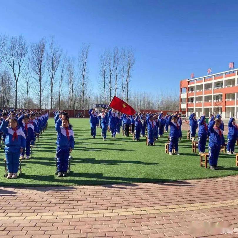 临清市小学创新项目，引领教育变革，塑造未来之光