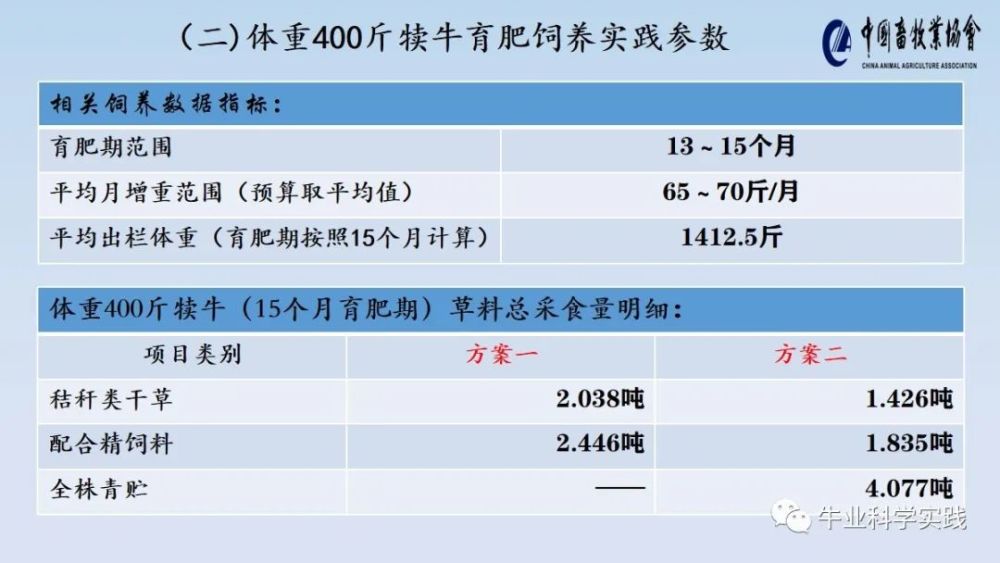 澳门一码一肖100准吗,数据资料解释落实_Android256.183