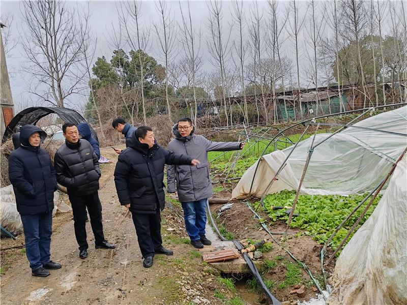 东西湖区农业农村局最新动态报道