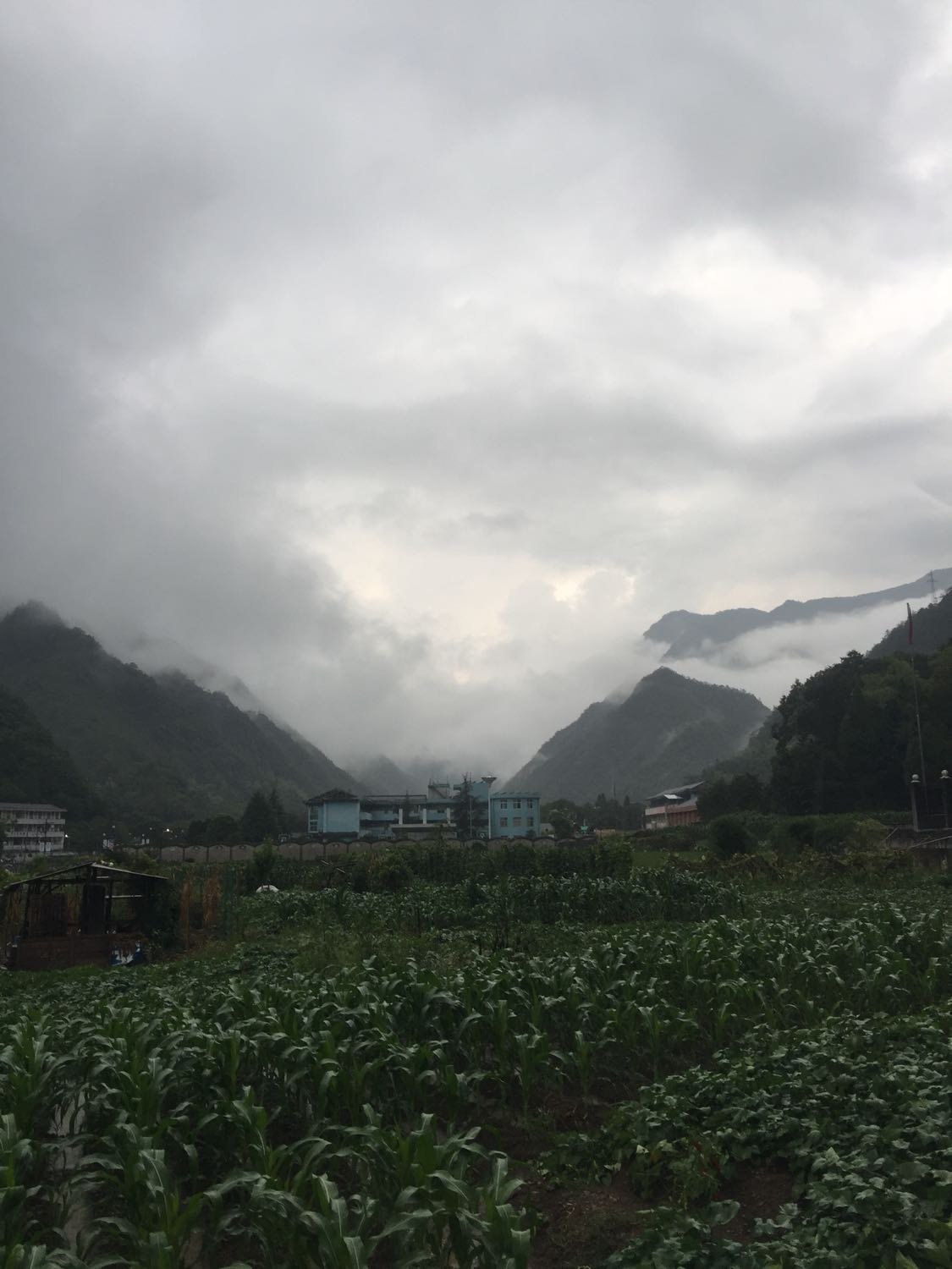 尧渡镇天气预报更新通知