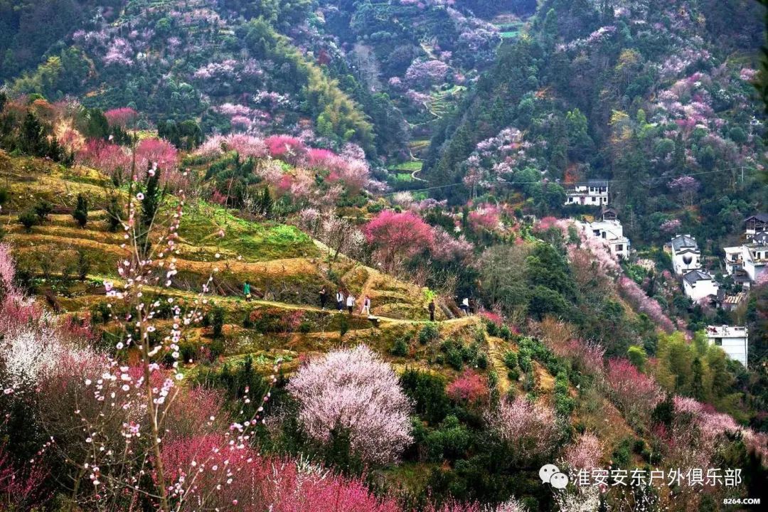 雄村乡新项目，乡村发展璀璨明珠引领前行