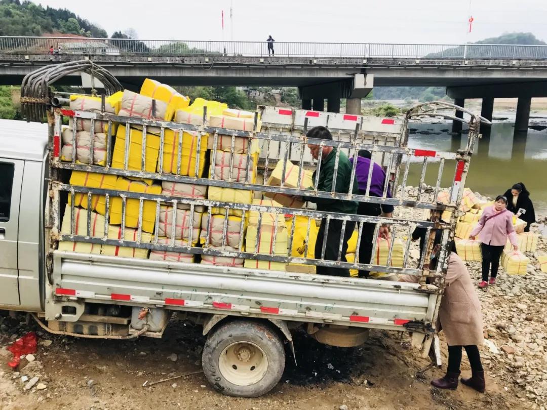 浦城县自然资源和规划局最新动态报道