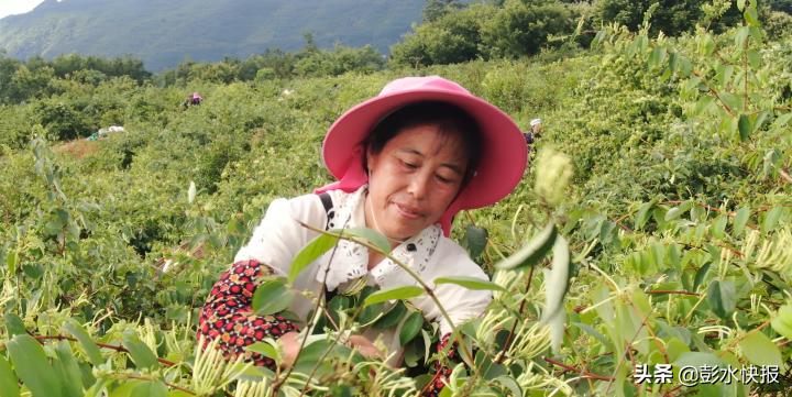 石柳乡最新发展规划概览