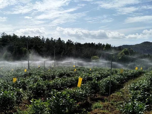 凤冈县水利局新项目助力地方水利建设蓬勃发展