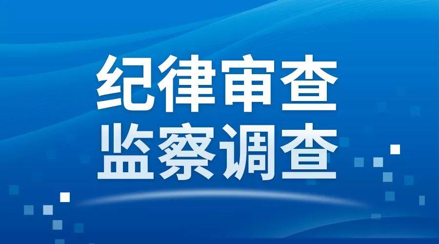 2025年1月6日 第6页