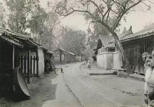 少城街街道新项目，重塑城市活力，展望未来愿景