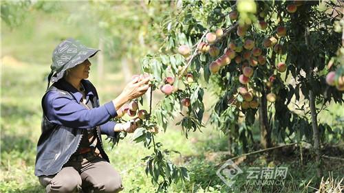 丰产乡最新招聘信息全面解析