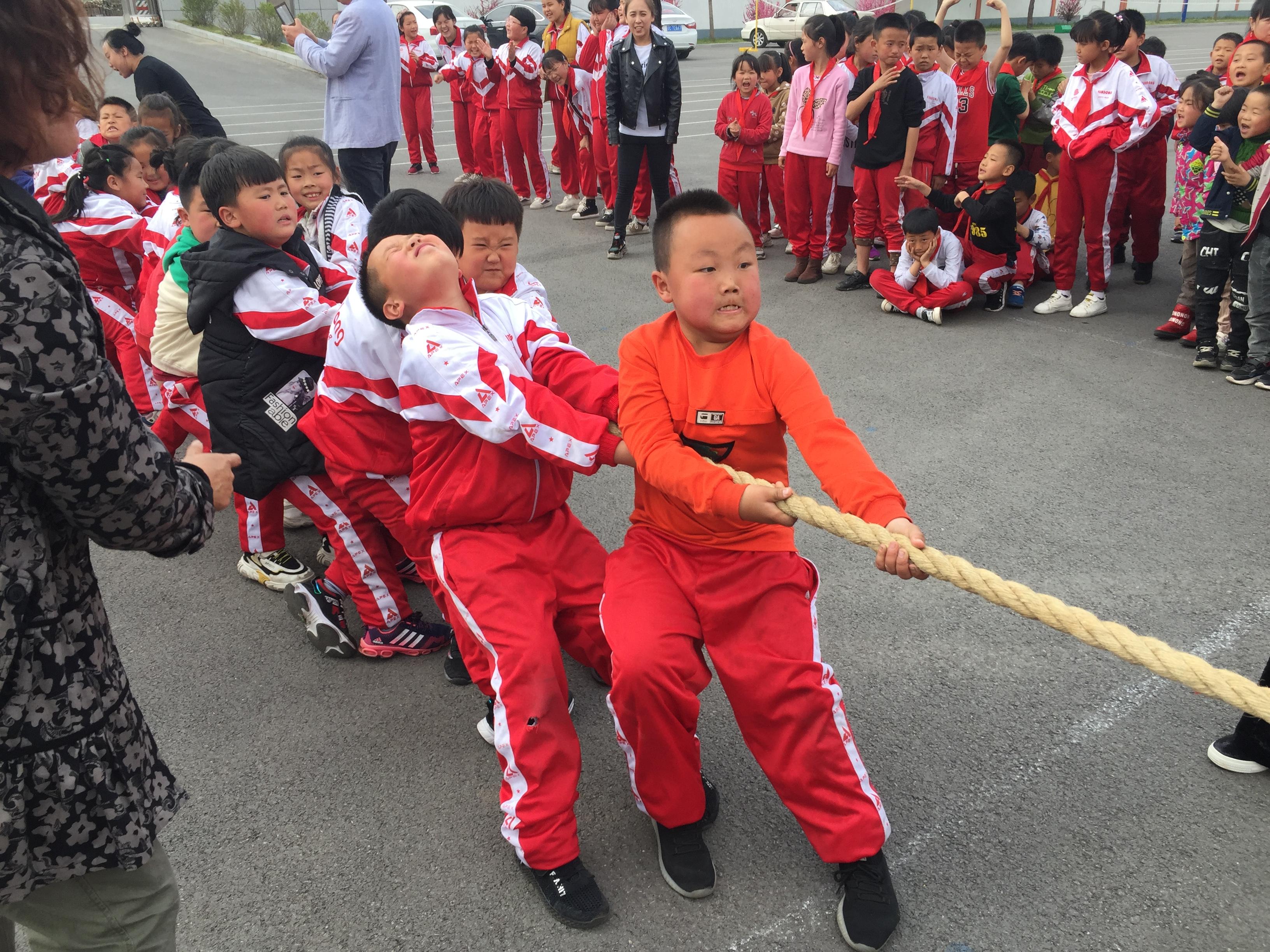 青龙满族自治县财政局最新发展规划深度研究