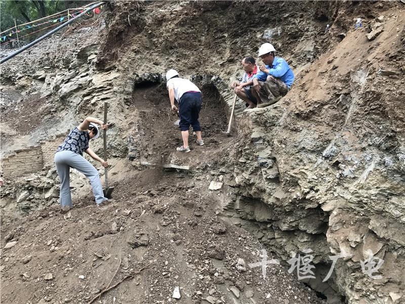 郧西县文化广电体育和旅游局发展规划概览