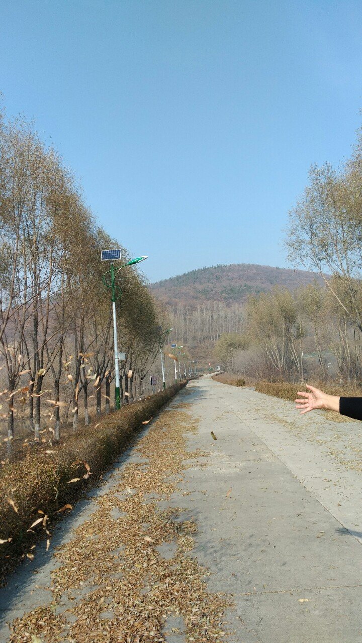 顺利河林场天气预报更新通知