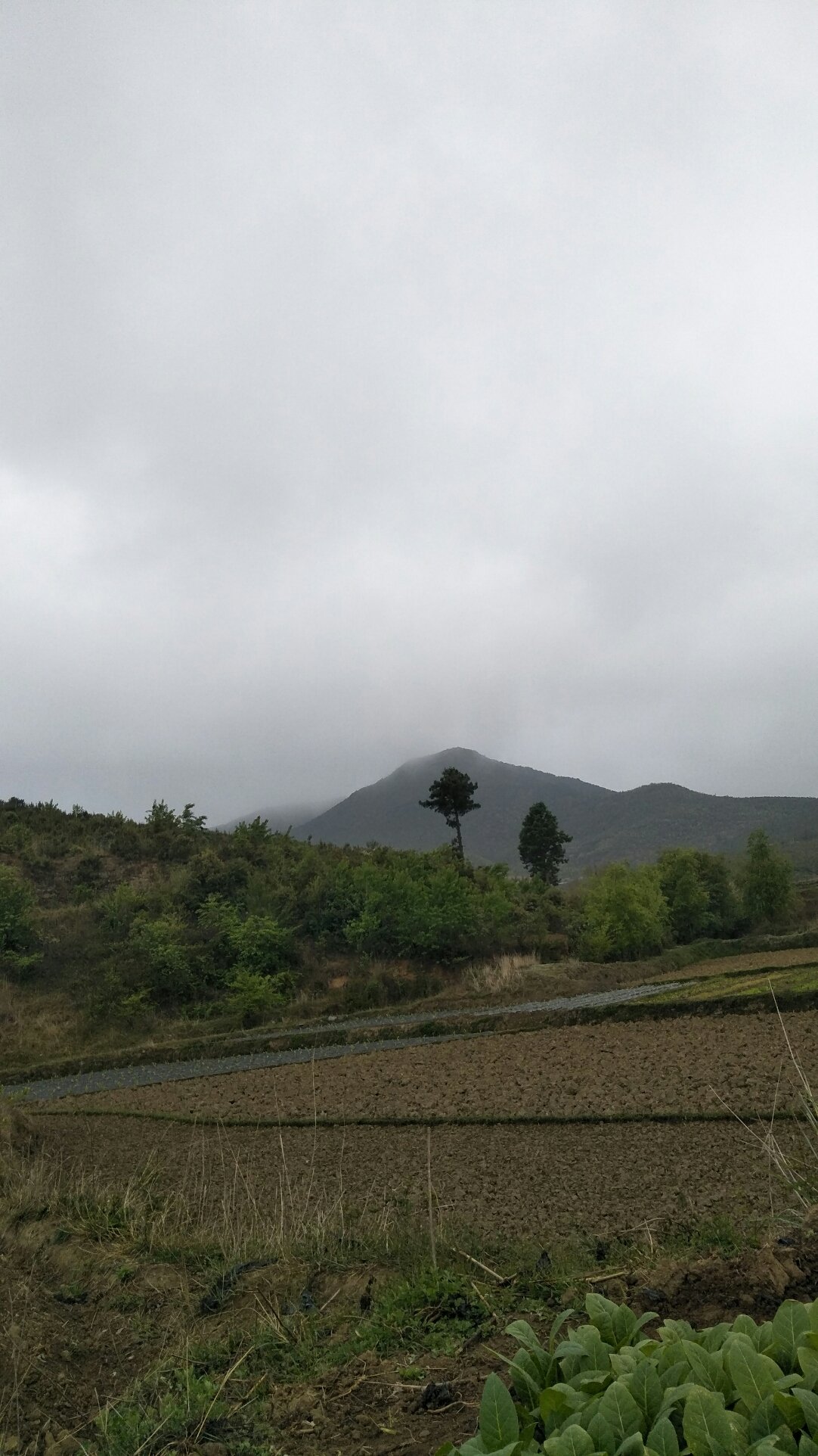 雷家店乡天气预报更新通知